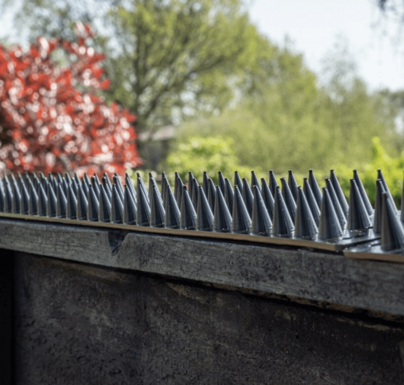 fence-security-spikes