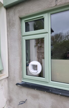 Window cat flap external view scaled