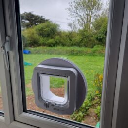 Window cat flap scaled