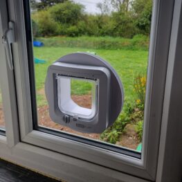 Window cat flap scaled