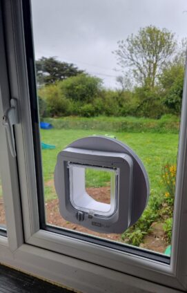 Window cat flap scaled